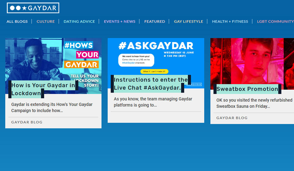 Gaydar anmeldelse