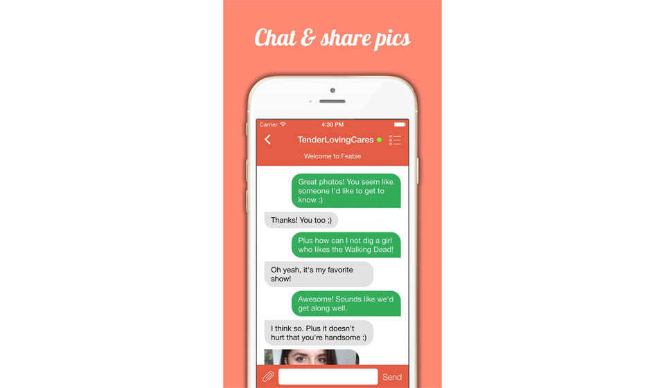 Alternativer til Feabie