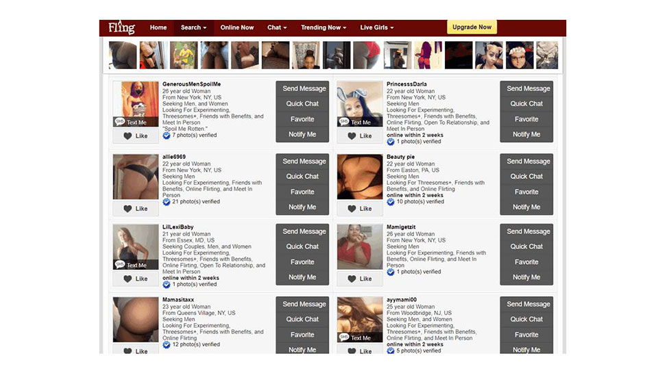 Hoe werkt Fling.com?