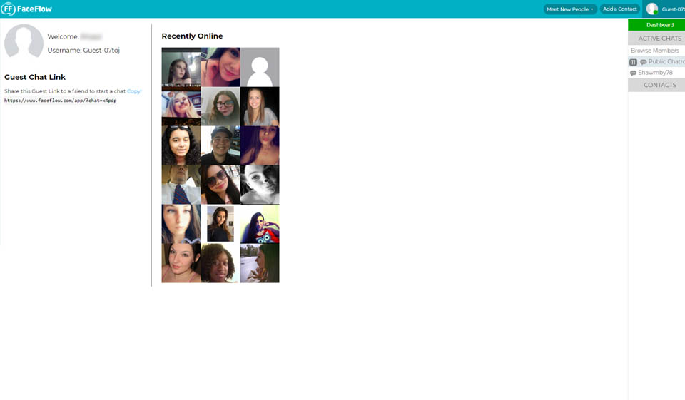FaceFlow Review
