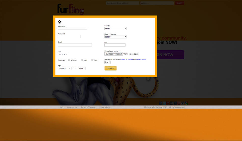 Revue FurFling 2020