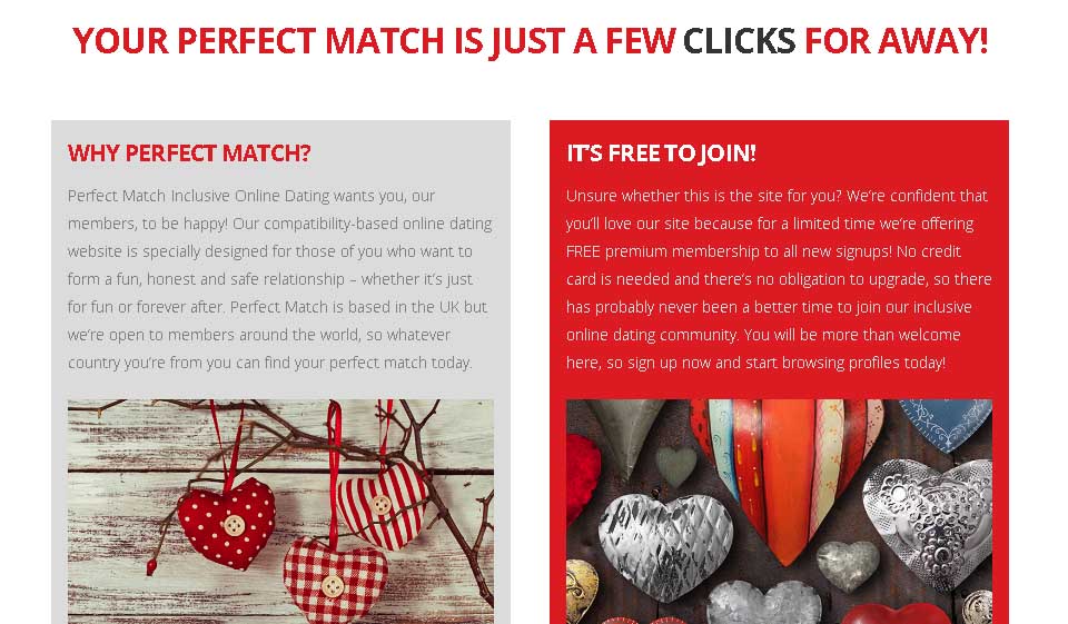 Recenzie PerfectMatch.com